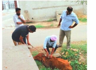 Animal Welfare News