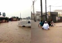 Abohar Flood News
