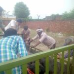 Animal Welfare