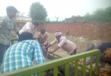 Animal Welfare