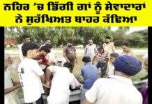 Animal Welfare