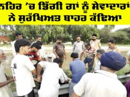 Animal Welfare