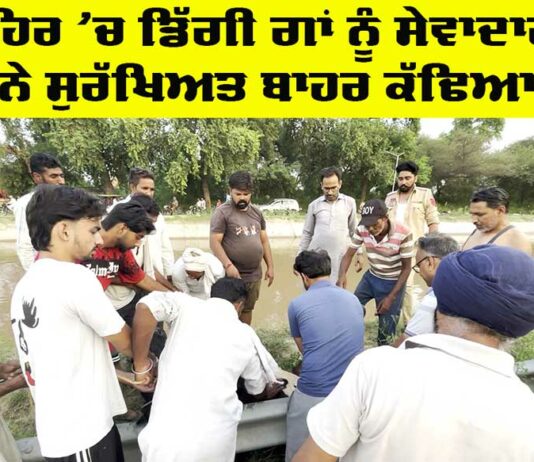 Animal Welfare