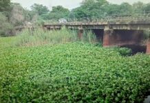 Bathinda News
