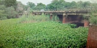 Bathinda News