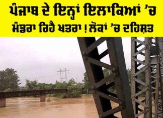 Beas River