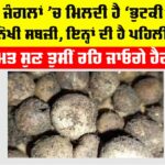 Bhutki Sabzi