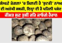 Bhutki Sabzi