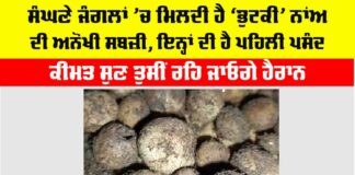 Bhutki Sabzi