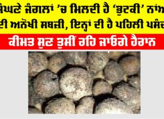Bhutki Sabzi