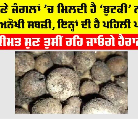 Bhutki Sabzi