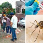 Dengue Cases