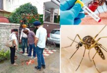 Dengue Cases