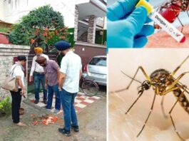 Dengue Cases
