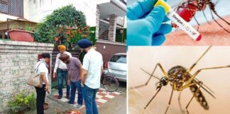 Dengue Cases