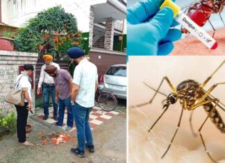 Dengue Cases
