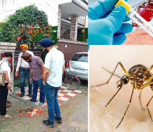 Dengue Cases