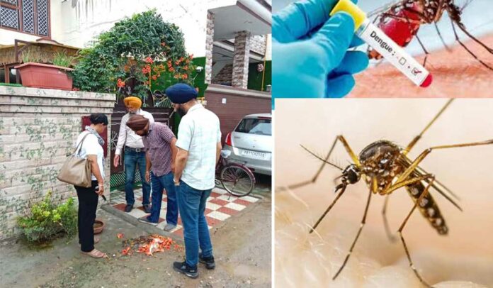 Dengue Cases