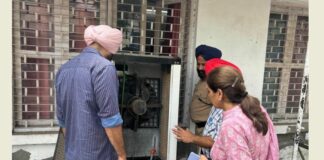 Dengue Cases In Patiala