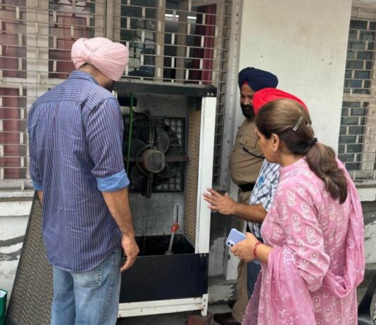 Dengue Cases In Patiala