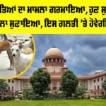 Dog Attack Case Update