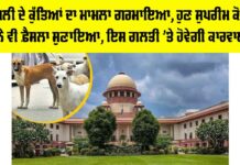 Dog Attack Case Update