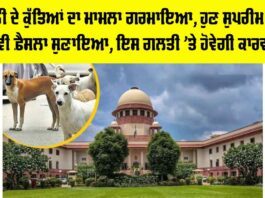 Dog Attack Case Update