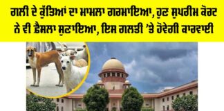 Dog Attack Case Update