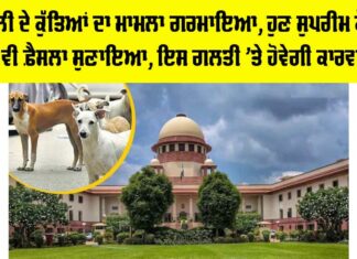 Dog Attack Case Update