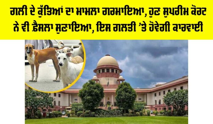 Dog Attack Case Update Dog Attack Case Update