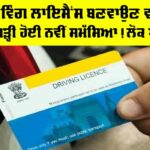 Driving License Punjab News