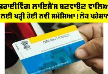 Driving License Punjab News