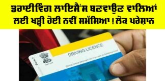 Driving License Punjab News