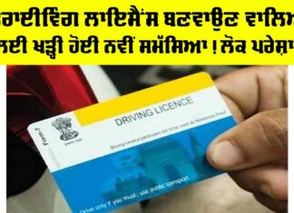 Driving License Punjab News