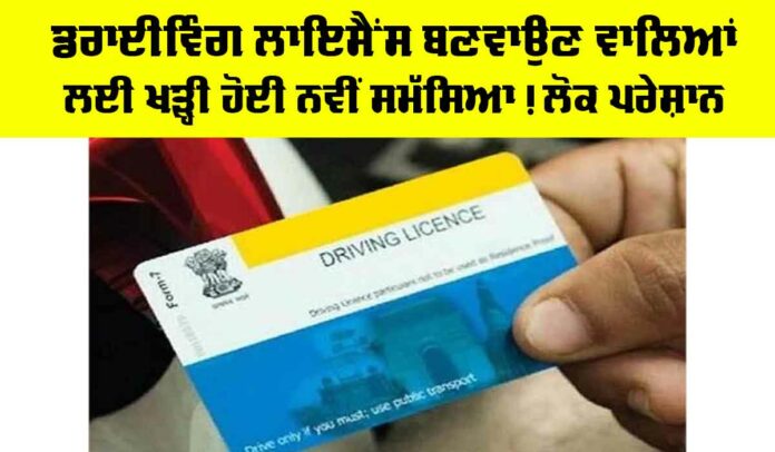 Driving License Punjab News