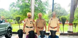 Faridkot Police