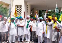 Farmers Protest Punjab