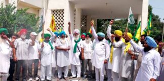 Farmers Protest Punjab