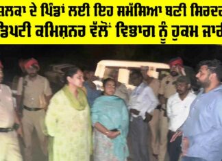 Fazilka News