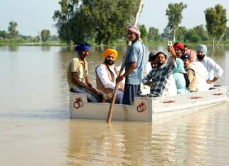 Fazilka News