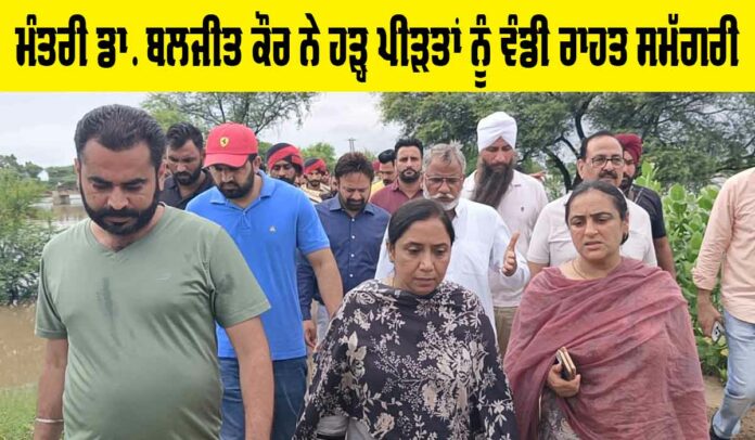 Flood Punjab