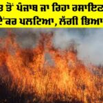 Gujarat to Punjab