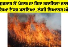 Gujarat to Punjab