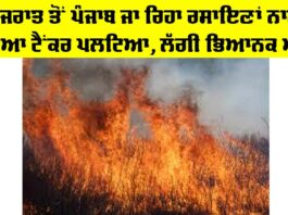 Gujarat to Punjab