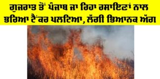Gujarat to Punjab