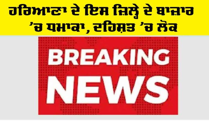 Haryana News