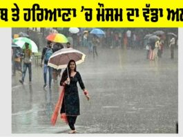 Haryana Rainfall Alert