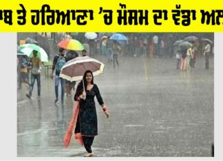 Haryana Rainfall Alert