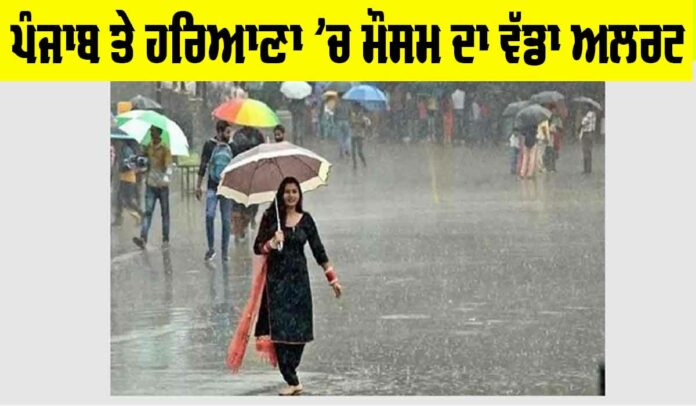 Haryana Rainfall Alert