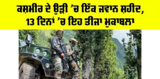 Kashmir Terrorist Operation